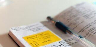 12 Profitable Business Ideas for 2026: Low Investment, High Growth Opportunities 12 Profitable Business Ideas for 2026: Low Investment, High Growth Opportunities